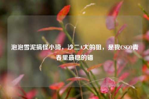 泡泡雪泥搞怪小琦,沙二A大的狙,是我CSGO青春里最稳的锚