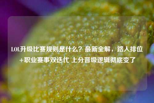 LOL升级比赛规则是什么?最新全解,路人排位+职业赛事双迭代 上分晋级逻辑彻底变了