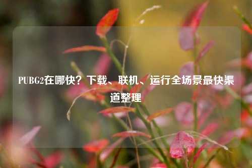 PUBG2在哪快？下载、联机、运行全场景最快渠道整理