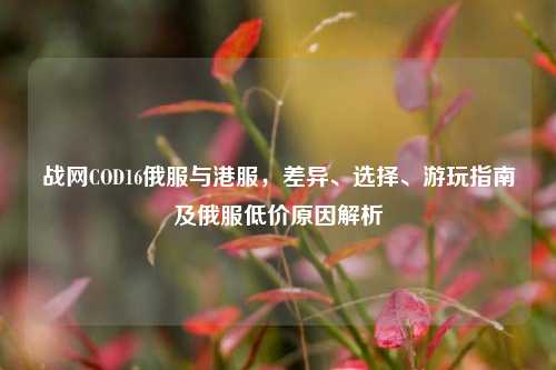 战网COD16俄服与港服,差异、选择、游玩指南及俄服低价原因解析