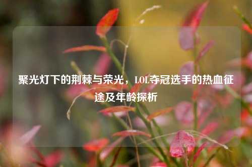 聚光灯下的荆棘与荣光,LOL夺冠选手的热血征途及年龄探析