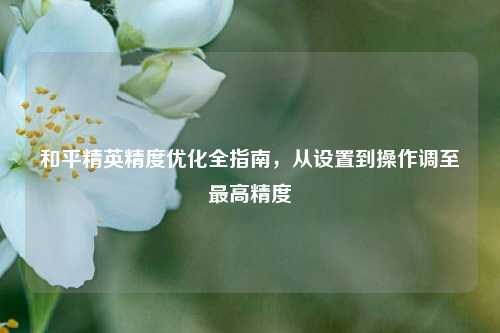 和平精英精度优化全指南，从设置到操作调至最高精度