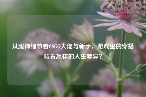 从服饰细节看CSGO大佬与新手,游戏里的穿搭藏着怎样的人生差异?
