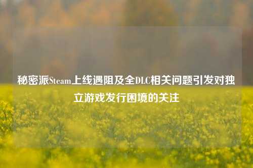 秘密派Steam上线遇阻及全DLC相关问题引发对独立游戏发行困境的关注