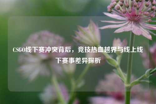CSGO线下赛冲突背后，竞技热血越界与线上线下赛事差异探析