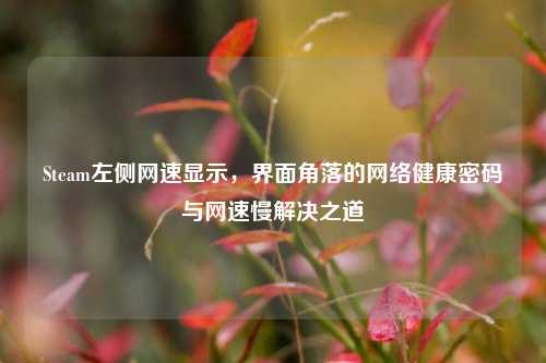 Steam左侧网速显示,界面角落的网络健康密码与网速慢解决之道
