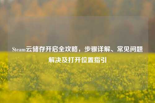 Steam云储存开启全攻略,步骤详解、常见问题解决及打开位置指引