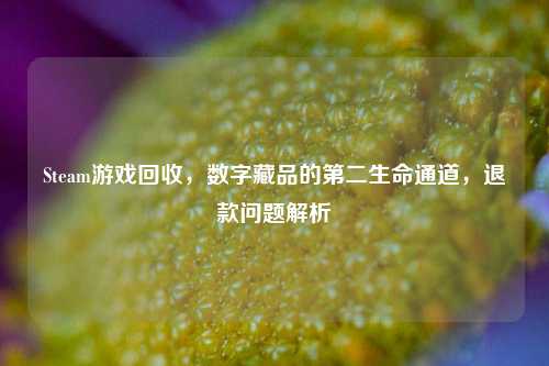 Steam游戏回收,数字藏品的第二生命通道,退款问题解析