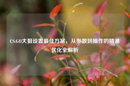 CS:GO大狙设置最佳方案,从参数到操作的精准优化全解析