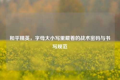 和平精英，字母大小写里藏着的战术密码与书写规范