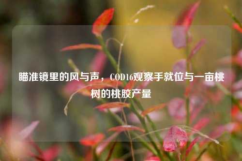 瞄准镜里的风与声，COD16观察手就位与一亩桃树的桃胶产量