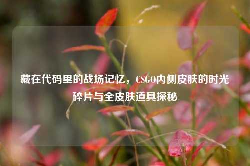 藏在代码里的战场记忆，CSGO内侧皮肤的时光碎片与全皮肤道具探秘