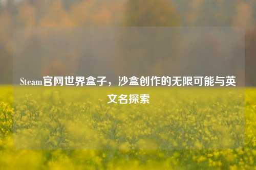 Steam官网世界盒子，沙盒创作的无限可能与英文名探索