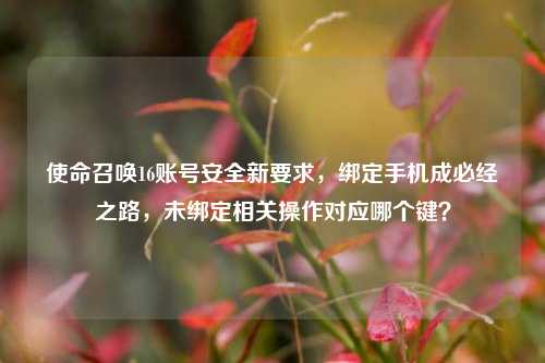 使命召唤16账号安全新要求，绑定手机成必经之路，未绑定相关操作对应哪个键？