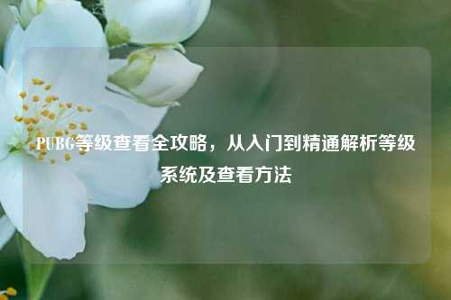 PUBG等级查看全攻略，从入门到精通解析等级系统及查看方法