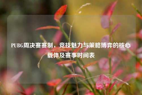 PUBG周决赛赛制,竞技魅力与策略博弈的核心载体及赛事时间表