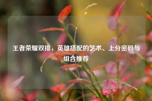 王者荣耀双排，英雄搭配的艺术、上分密码与组合推荐