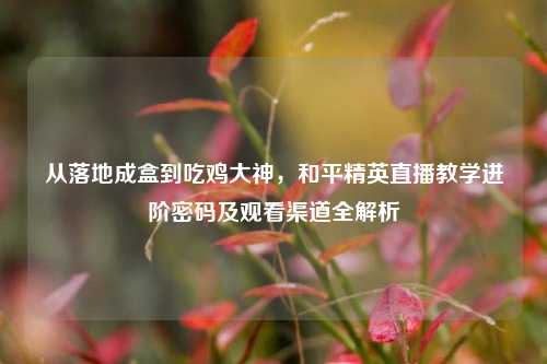 从落地成盒到吃鸡大神，和平精英直播教学进阶密码及观看渠道全解析