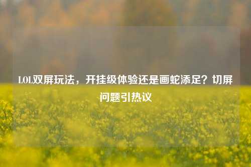 LOL双屏玩法，开挂级体验还是画蛇添足？切屏问题引热议