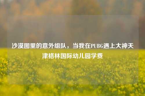 沙漠图里的意外组队，当我在PUBG遇上大神天津格林国际幼儿园学费