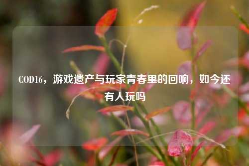 COD16,游戏遗产与玩家青春里的回响,如今还有人玩吗