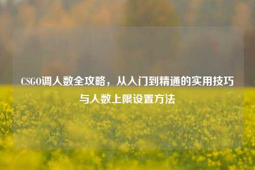 CSGO调人数全攻略,从入门到精通的实用技巧与人数上限设置方法