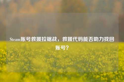 Steam账号救援拉锯战，救援代码能否助力找回账号？