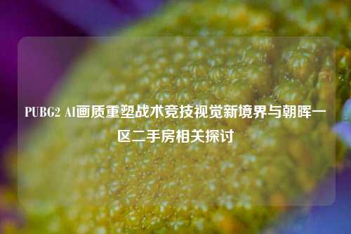 PUBG2 AI画质重塑战术竞技视觉新境界与朝晖一区二手房相关探讨