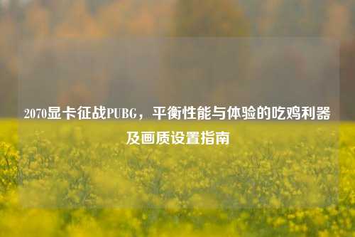 2070显卡征战PUBG，平衡性能与体验的吃鸡利器及画质设置指南