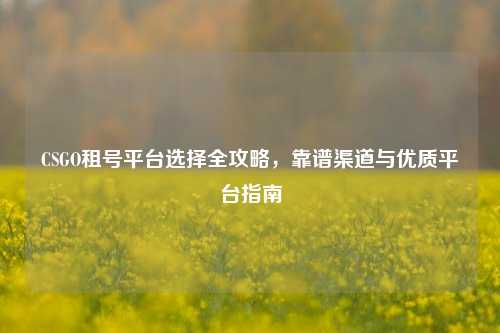 CSGO租号平台选择全攻略,靠谱渠道与优质平台指南