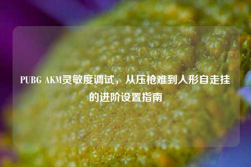 PUBG AKM灵敏度调试,从压枪难到人形自走挂的进阶设置指南