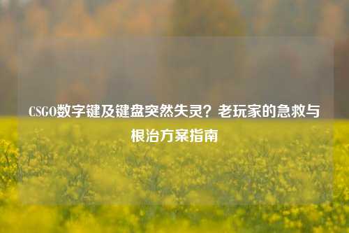 CSGO数字键及键盘突然失灵?老玩家的急救与根治方案指南
