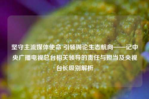 坚守主流媒体使命 引领舆论生态航向——记中央广播电视总台相关领导的责任与担当及央视台长级别解析