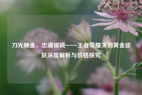 刀光映金，忠魂破晓——王者荣耀关羽黄金皮肤深度解析与价格探究