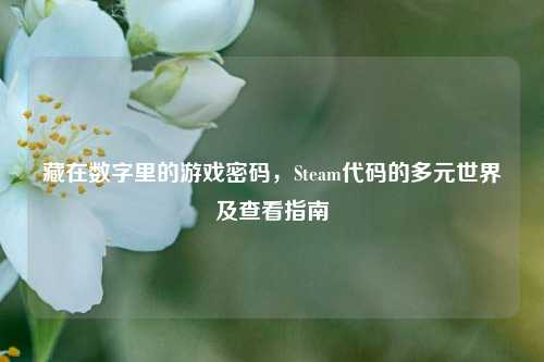 藏在数字里的游戏密码,Steam代码的多元世界及查看指南