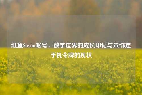 纸鱼Steam帐号,数字世界的成长印记与未绑定手机令牌的现状