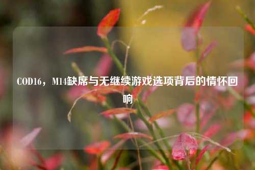 COD16，M14缺席与无继续游戏选项背后的情怀回响