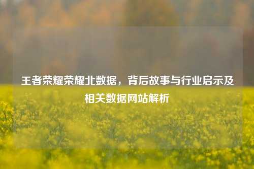 王者荣耀荣耀北数据,背后故事与行业启示及相关数据网站解析