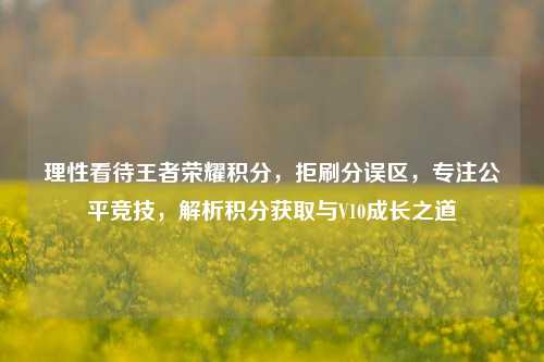 理性看待王者荣耀积分,拒刷分误区,专注公平竞技,解析积分获取与V10成长之道