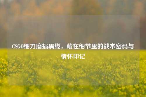 CSGO细刀磨损黑线,藏在细节里的战术密码与情怀印记