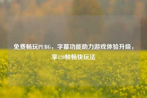 免费畅玩PUBG,字幕功能助力游戏体验升级,享120帧畅快玩法