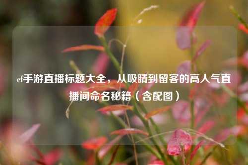 cf手游直播标题大全，从吸睛到留客的高人气直播间命名秘籍（含配图）