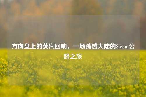 方向盘上的蒸汽回响，一场跨越大陆的Steam公路之旅