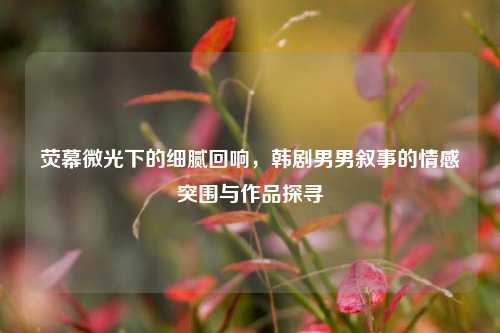 荧幕微光下的细腻回响,韩剧男男叙事的情感突围与作品探寻