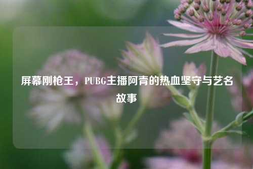 屏幕刚枪王，PUBG主播阿青的热血坚守与艺名故事