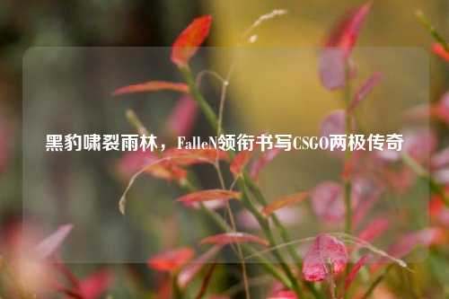 黑豹啸裂雨林,FalleN领衔书写CSGO两极传奇