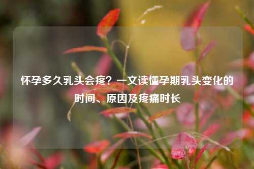 怀孕多久乳头会疼?一文读懂孕期乳头变化的时间、原因及疼痛时长