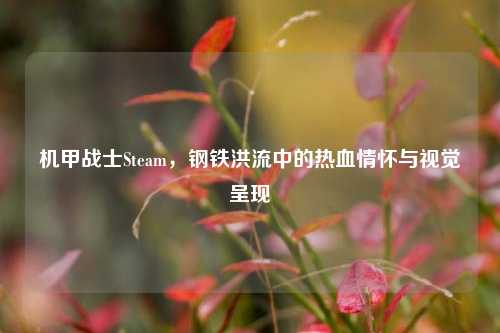 机甲战士Steam,钢铁洪流中的热血情怀与视觉呈现