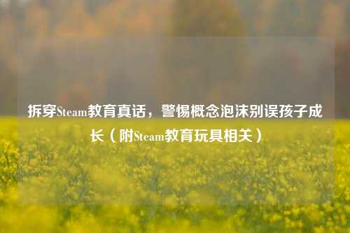拆穿Steam教育真话,警惕概念泡沫别误孩子成长(附Steam教育玩具相关)