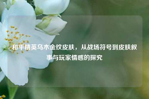 和平精英乌木金纹皮肤,从战场符号到皮肤叙事与玩家情感的探究